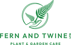 Fern & Twine